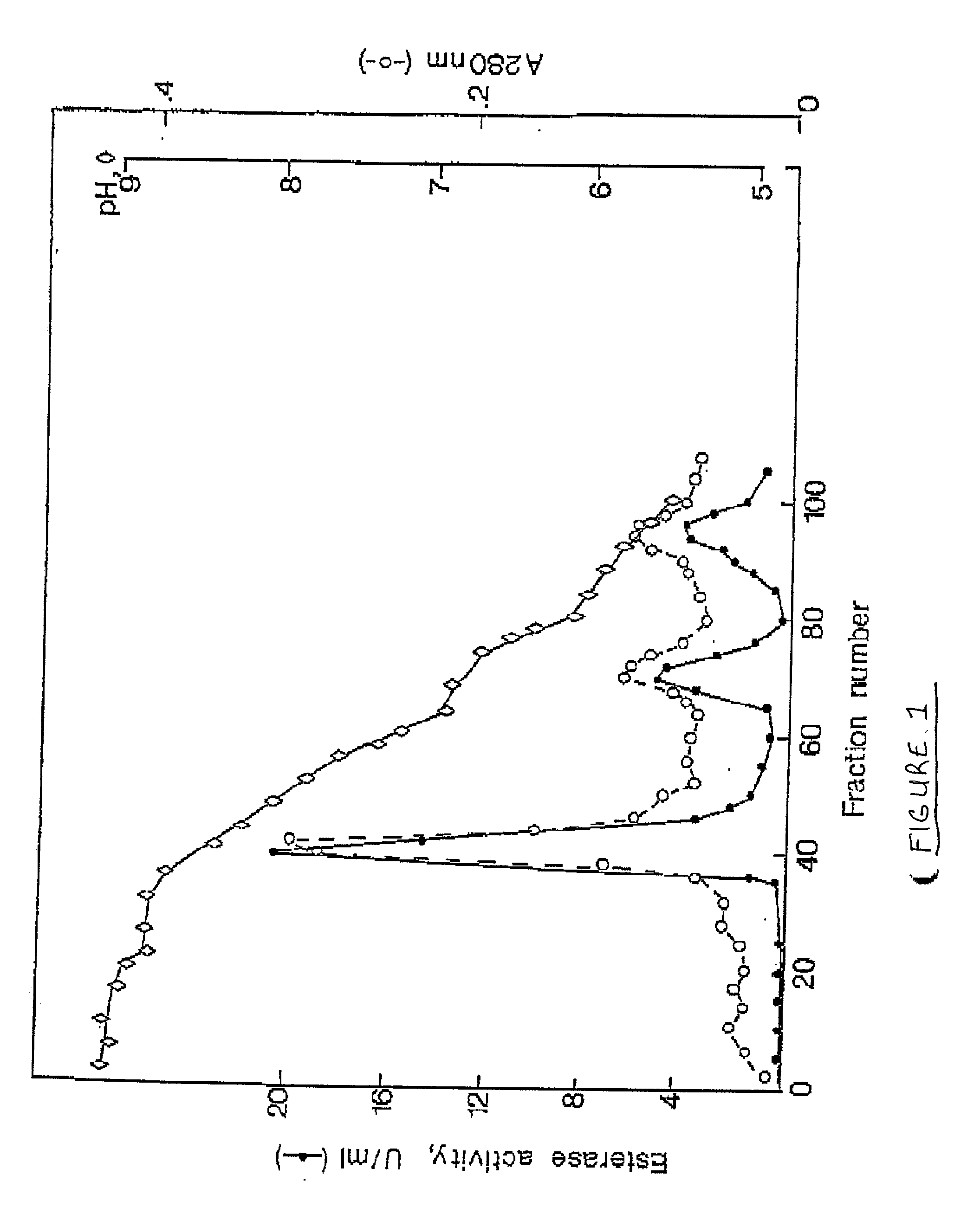 Fish serine proteinases and their pharmaceutical and cosmetic use