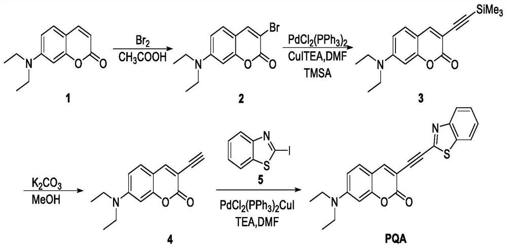 Coumarin-based fluorescent probe as well as preparation method and application thereof