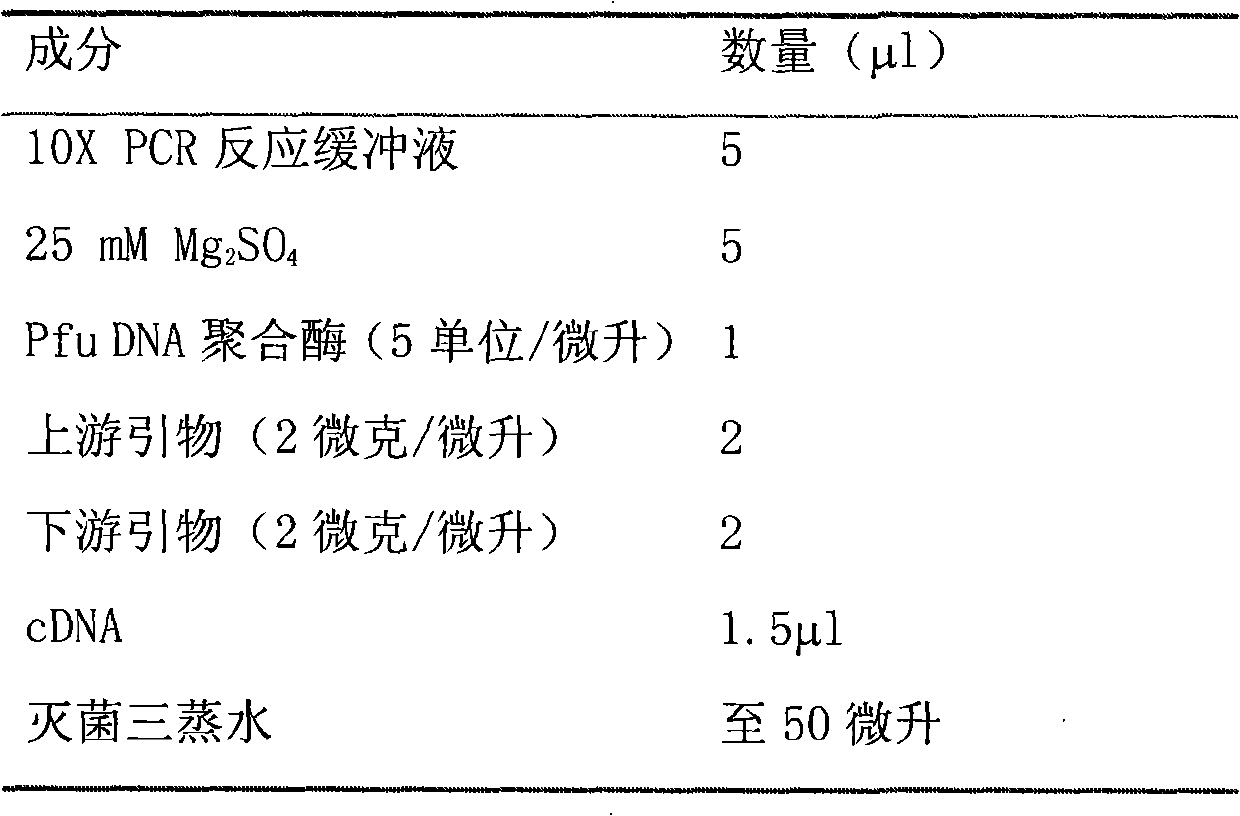 Whole human TNF alpha (tumor necrosis factor alpha) monoclonal antibody and preparation and application thereof