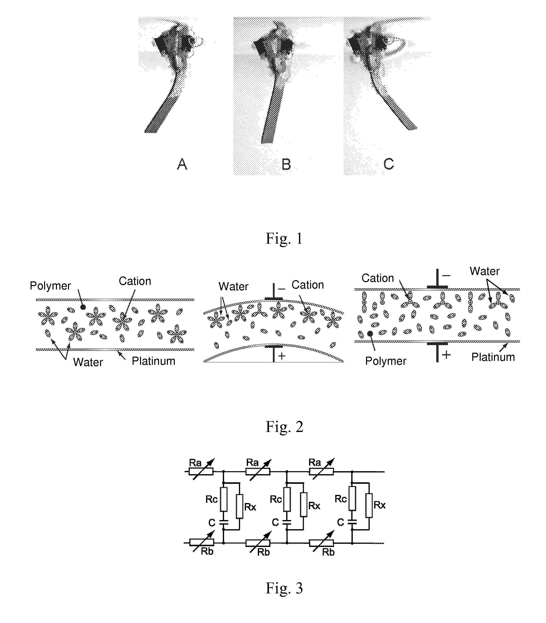 Uses of electroactive polymer materials