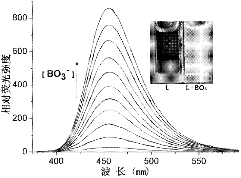 Method for detecting perboric acid ion