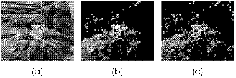 Method for extracting video texture characteristics based on fuzzy concept lattice