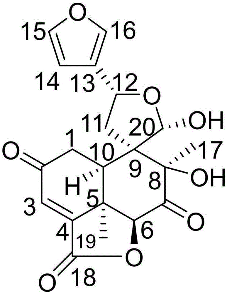 Neo-clerodane diterpenoid compound, and preparation method and medical application thereof