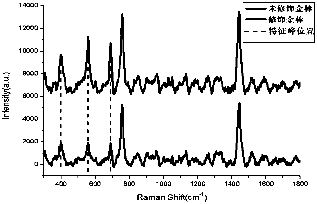 Cysteamine modified gold nanorod method and substrate and method for detecting acephate