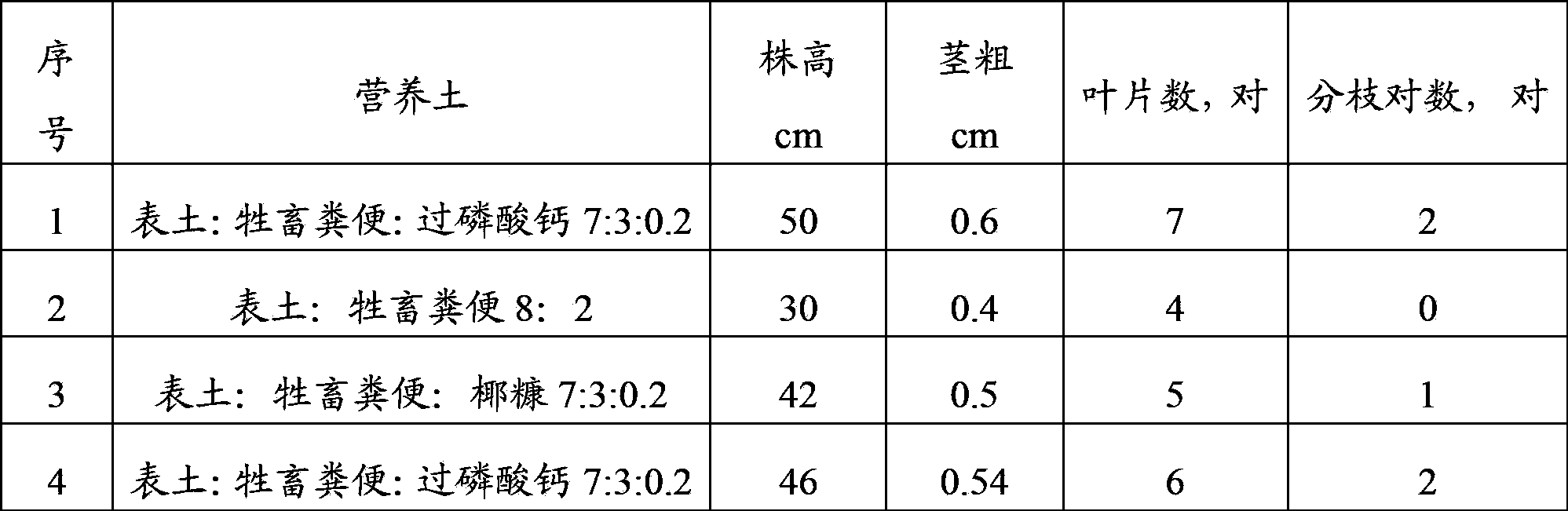 Coffee cutting seedling culture method