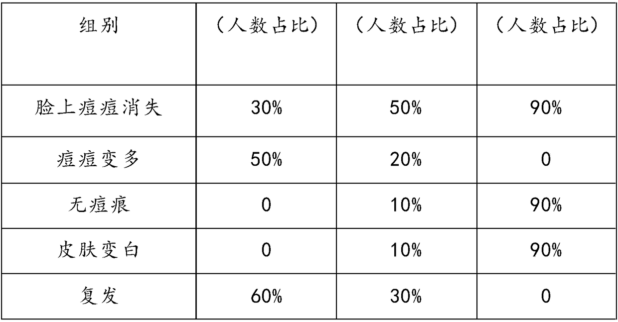 Acne treatment skin whitening cream and preparation method thereof