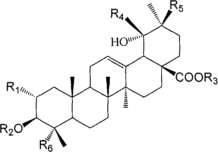 Total triterpene of garden burnet root with anti-inflammatory and analgesic effects and preparation method thereof