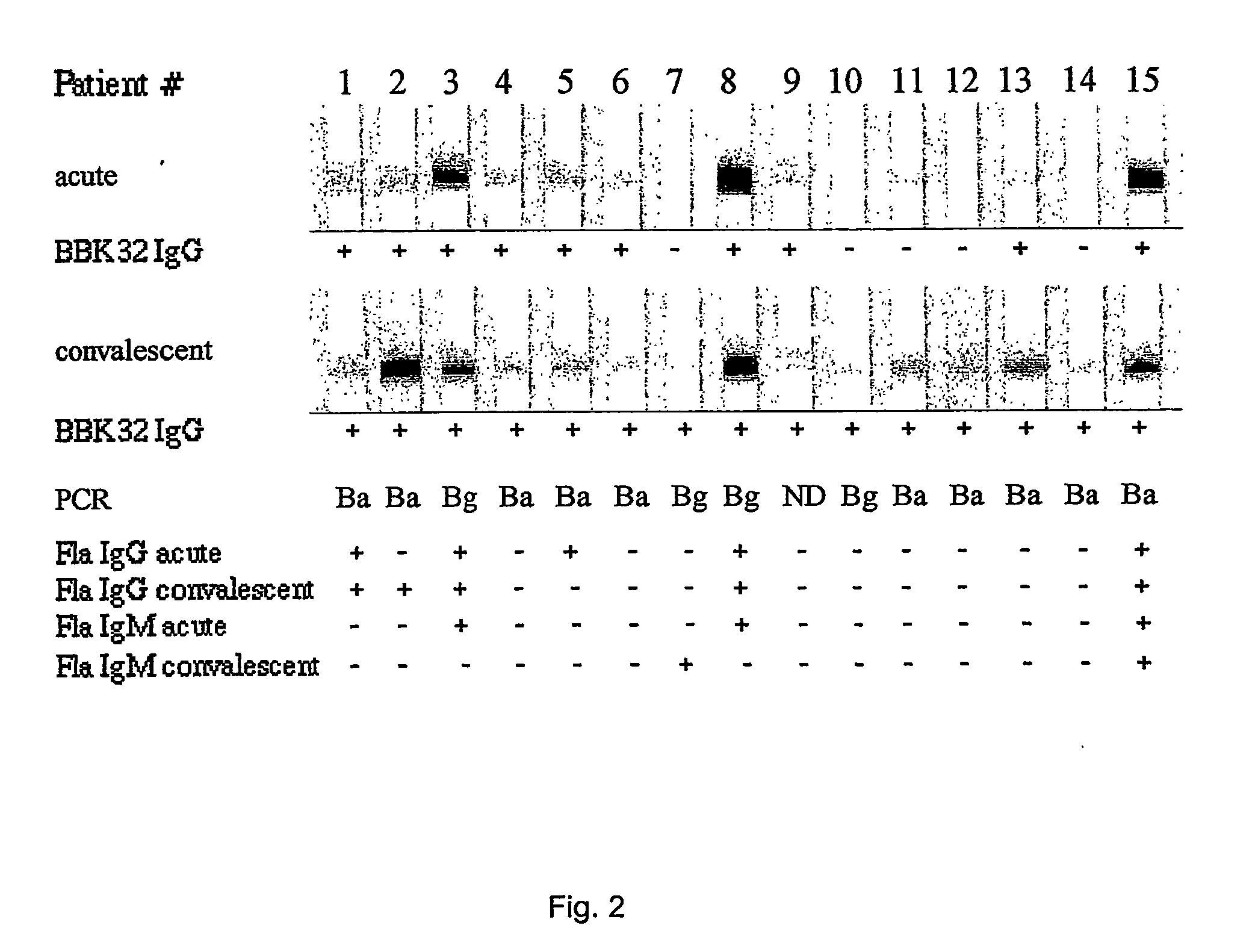 Method for diagnosing early and late lyme borreliosis