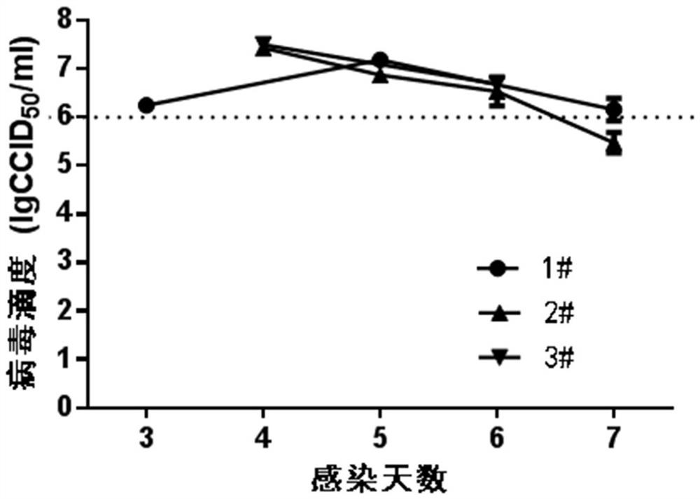 A method for preparing live attenuated mumps vaccine