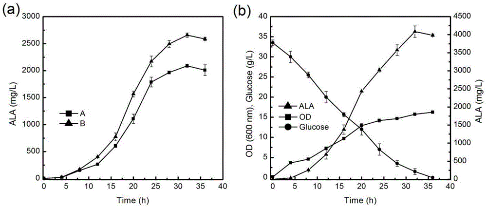 Method for weakening hemB gene expression to increase yield of 5-aminolevulinic acid synthesized by escherichia coli
