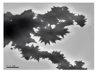 Super-structure Pd-Cu alloy and preparation method thereof