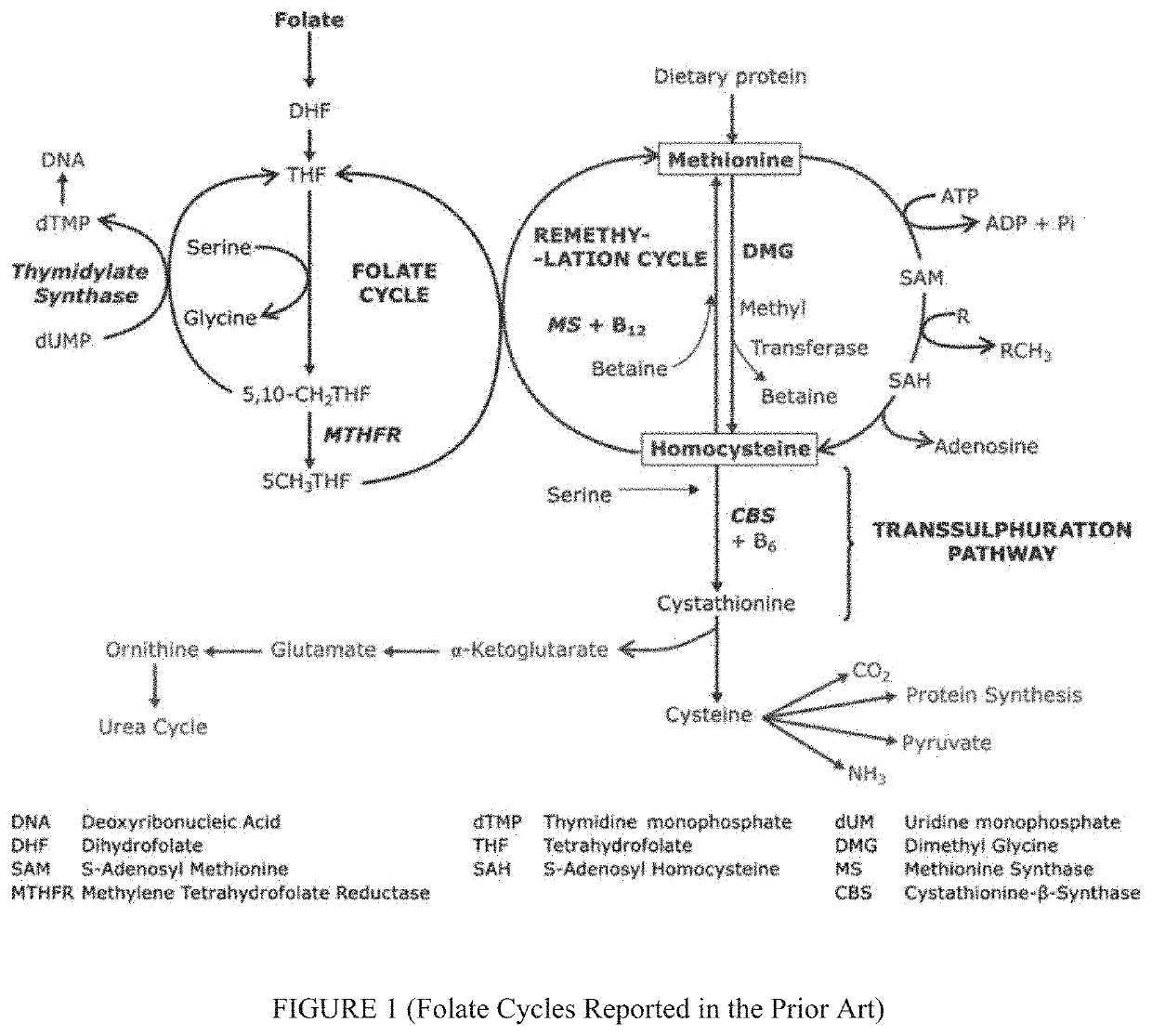 Treatment of CNS and developmental disorders using high dose 5-formyl-(6S)-tetrahydrofolate