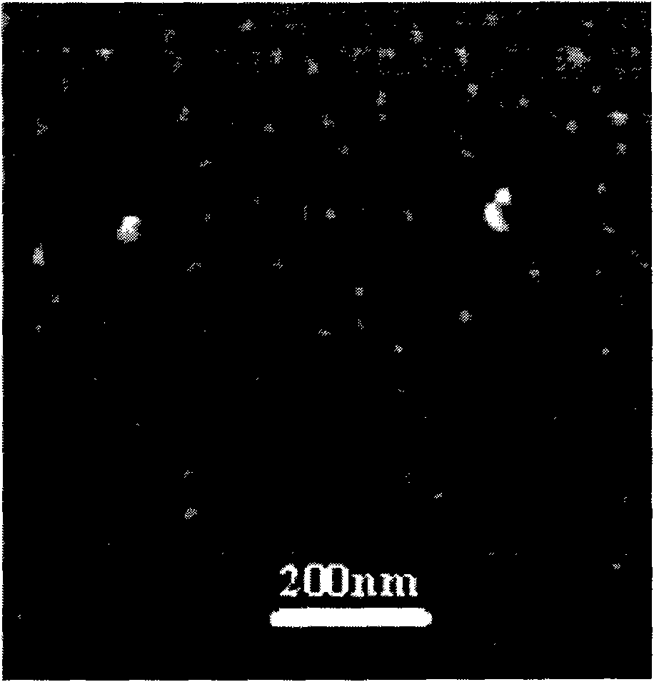 Preparation method of silk fibroin porous three-dimensional material