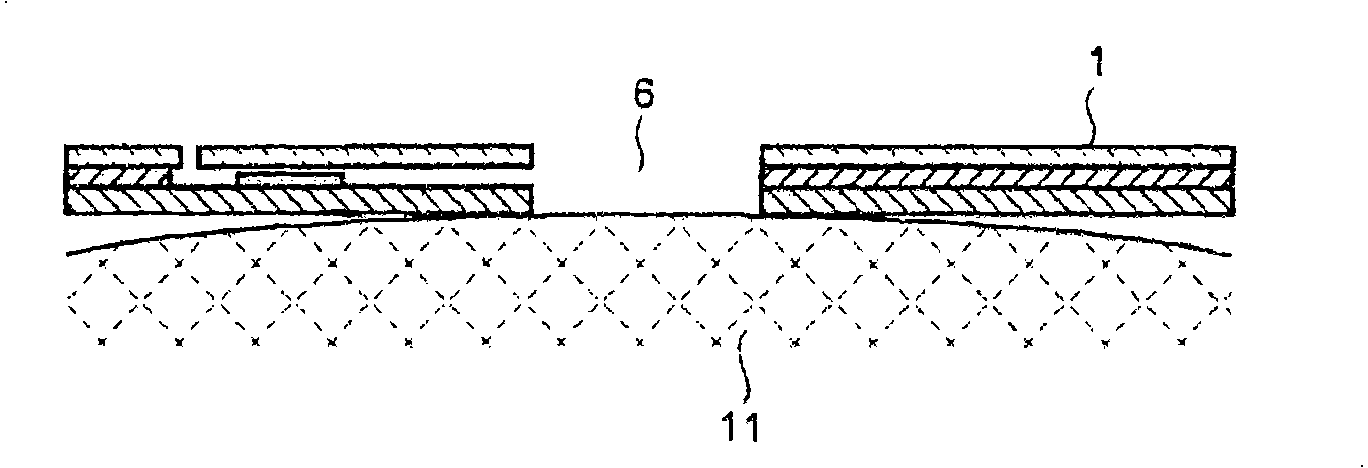 Blood sensor and blood examining instrument including same