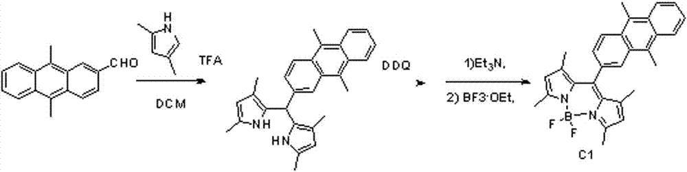 Fluorescence probe based on BODIPY type singlet oxygen