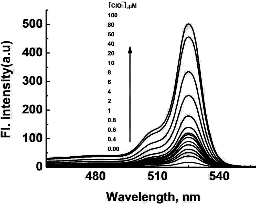 Fluorescence probe based on BODIPY type singlet oxygen