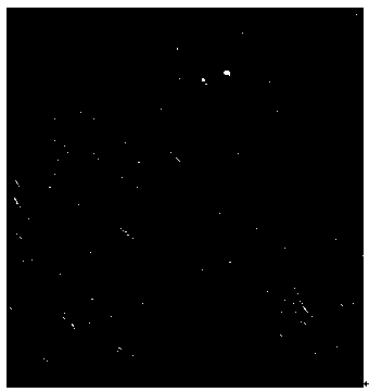 Preparation method of bundled hollow fiber membrane