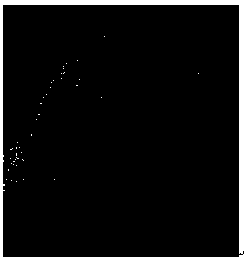 Preparation method of bundled hollow fiber membrane