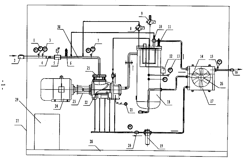 A screw gas booster