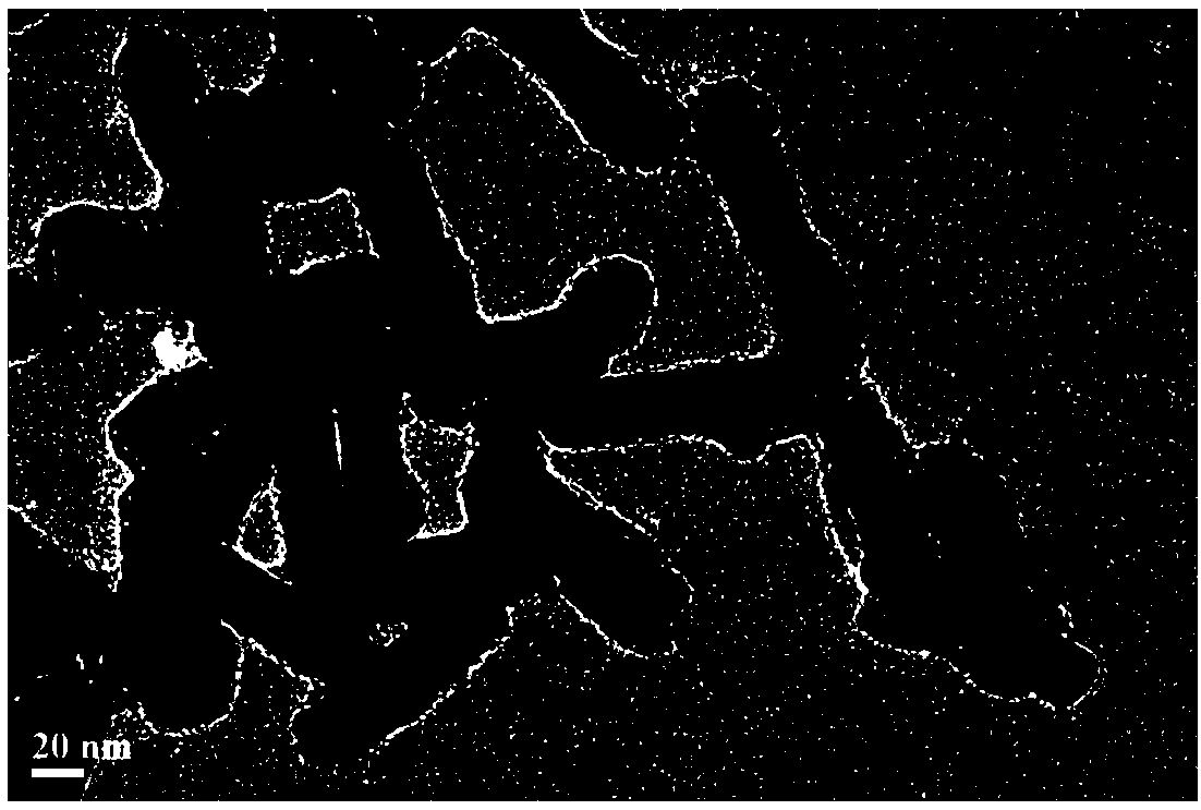 Rapid on-site detection method for trichlorfon and simazine in seawater