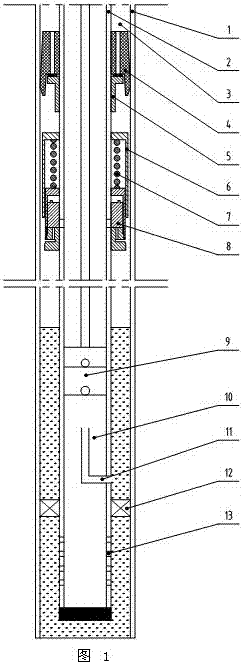 Crude oil dissolved gas downhole collection device