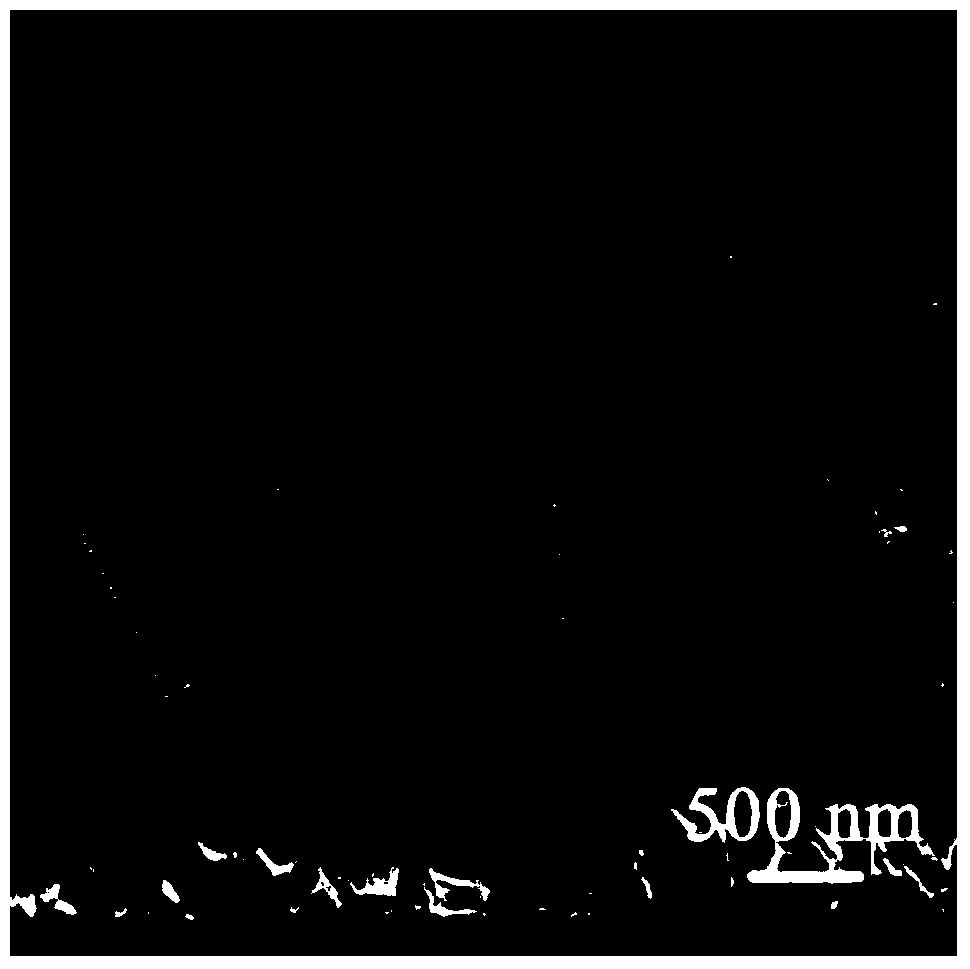 Preparation method of three-dimensional dendritic TiO2 (titanium dioxide) array with rapid electronic transmission performance