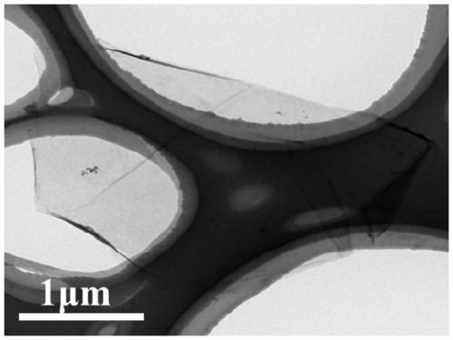 Preparation method, product and application of a two-dimensional ultrathin stannous sulfide nanosheet