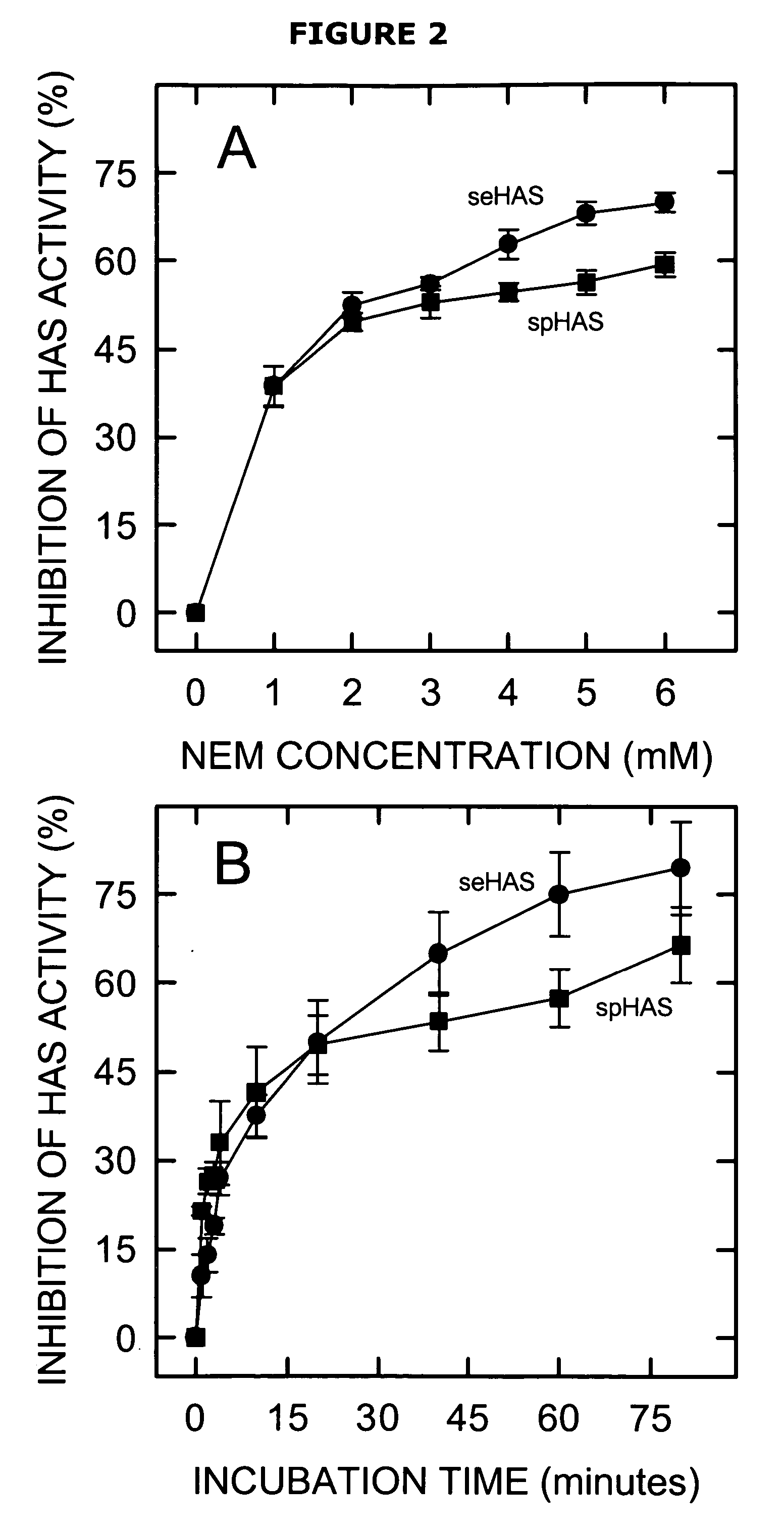 Hyaluronan synthases and methods of making and using same