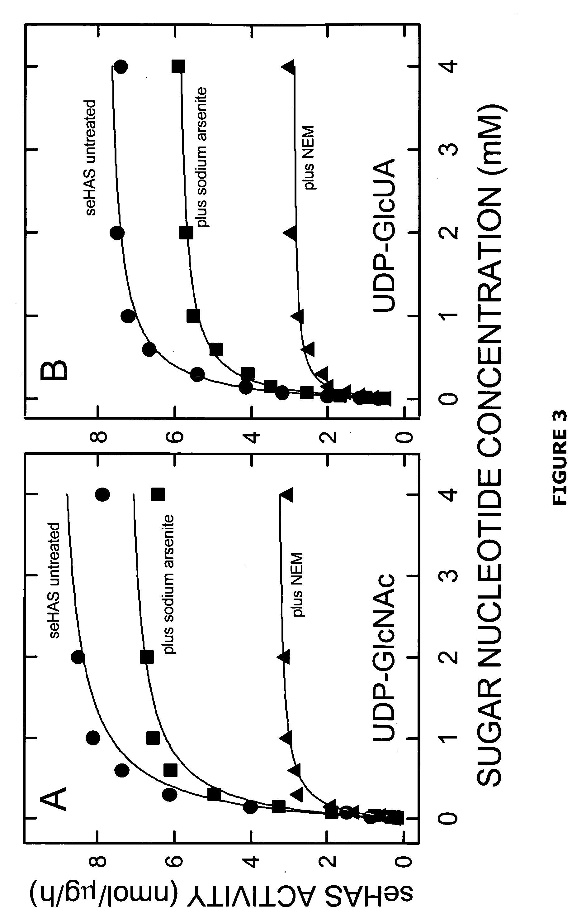 Hyaluronan synthases and methods of making and using same