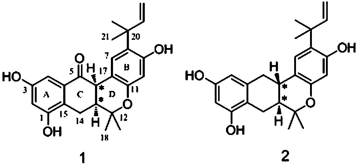 Stilbene compounds in artocarpus styracifolius Pierre and application of compounds to preparation of drugs for treating inflammatory diseases