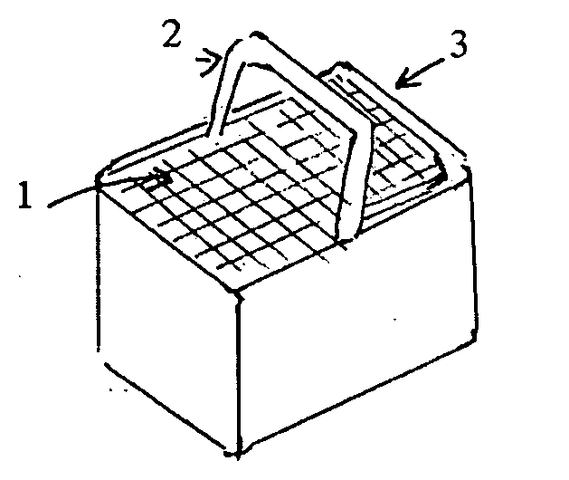 Solar powered cooler