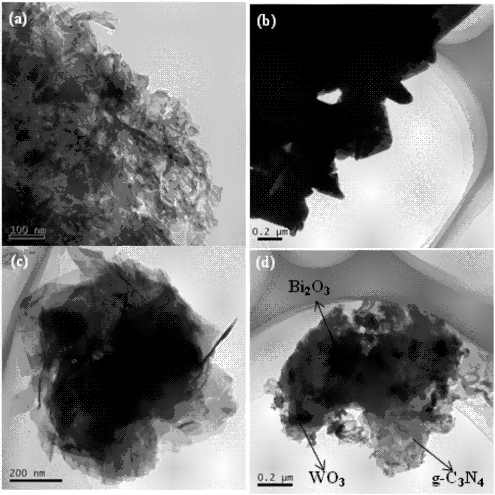 Tungsten trioxide/carbon nitride/bismuth oxide double-Z type photocatalyst and preparation method and application thereof