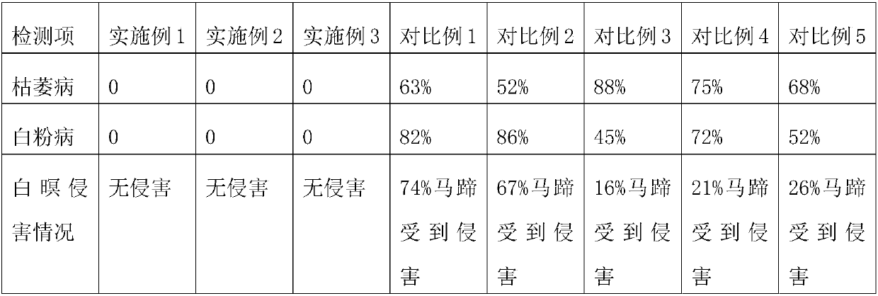 High-yield method for Chinese water chestnut