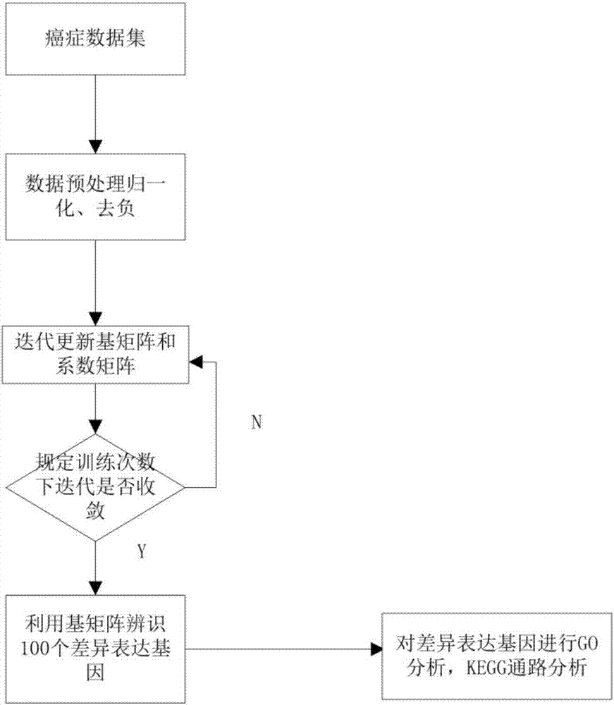 Differentially expressed gene identification method based on combined constraint non-negative matrix factorization