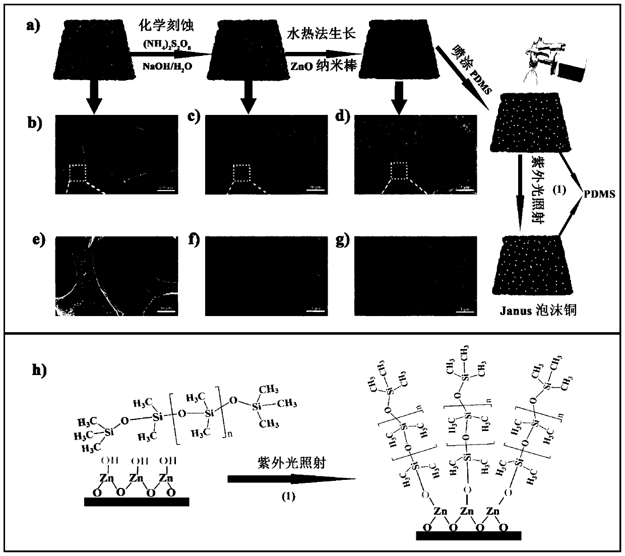 Method for preparing Janus foamy copper with asymmetric wettability and efficient mist collection ability