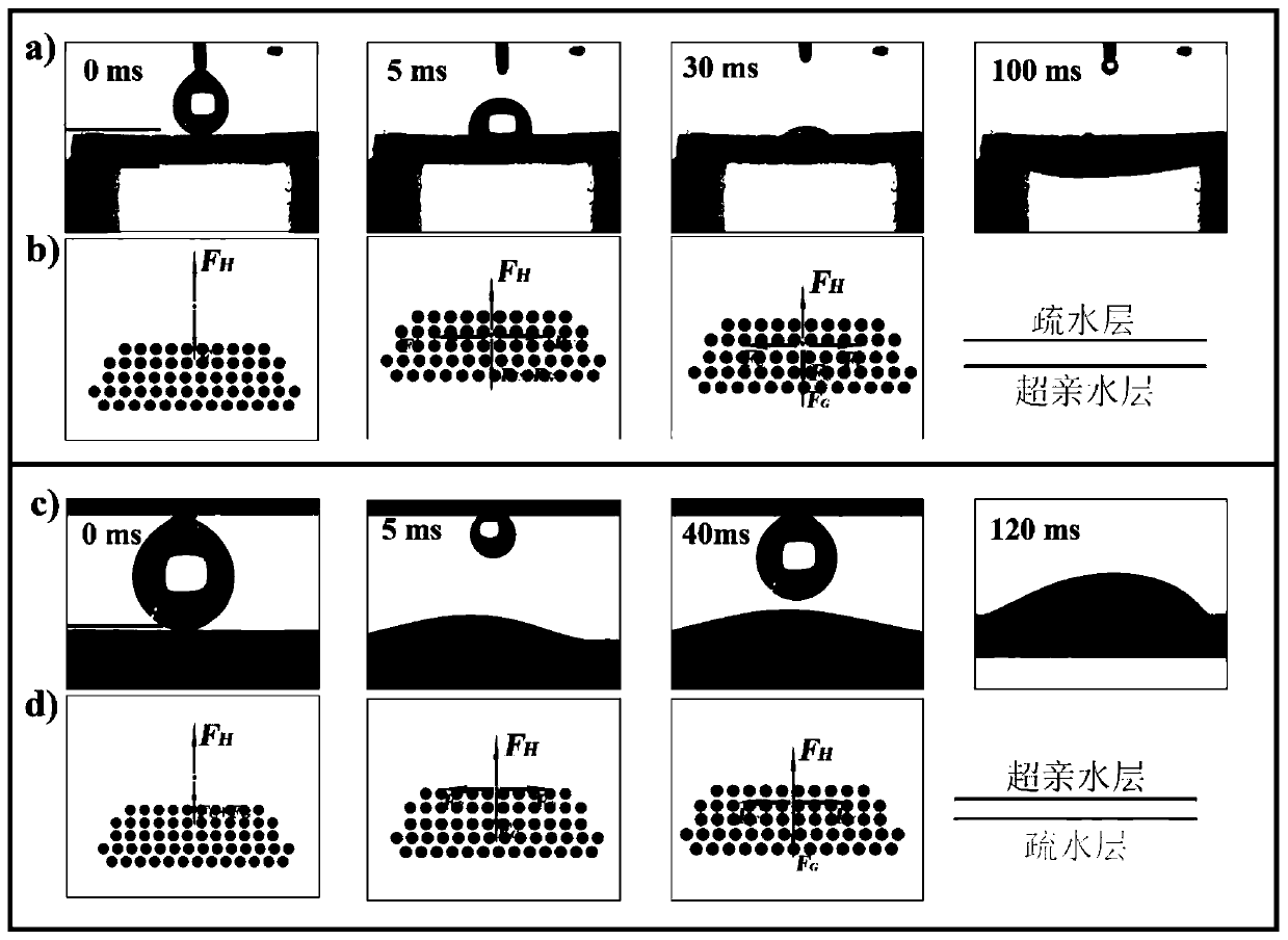 Method for preparing Janus foamy copper with asymmetric wettability and efficient mist collection ability