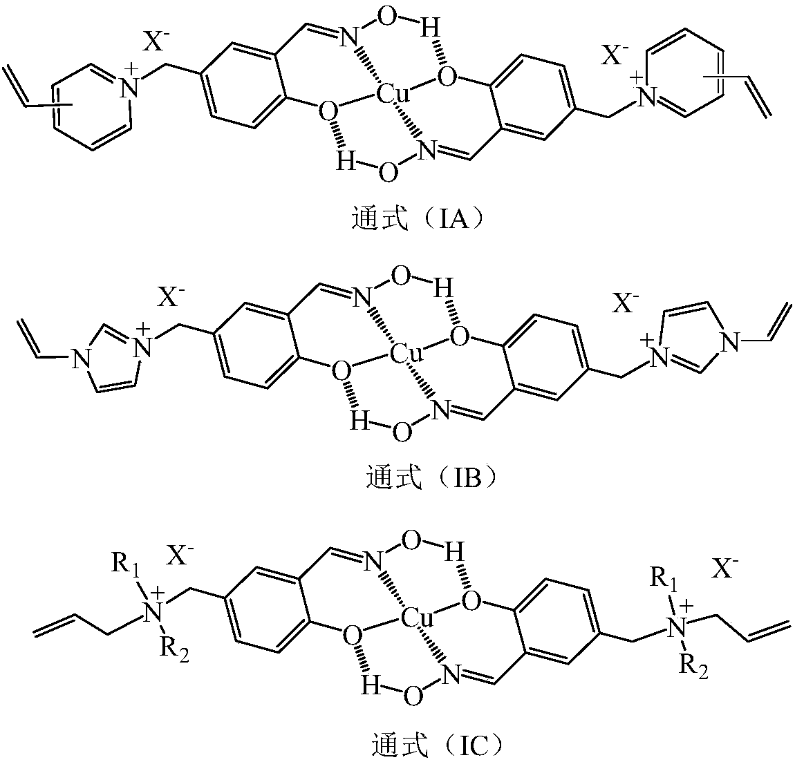 Anion-cation double exchange type copper (II) ion surface imprinted polymer and preparation method thereof