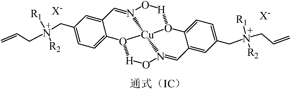 Anion-cation double exchange type copper (II) ion surface imprinted polymer and preparation method thereof