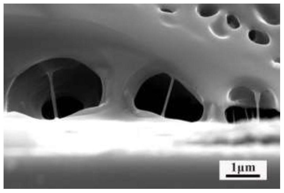 An electronically controlled liquid crystal dimming film with low driving voltage