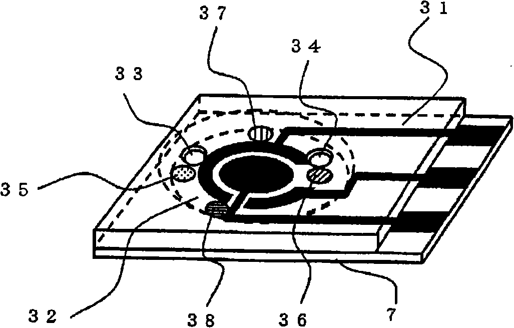 Pyrophosphoric acid sensor and snp typing sensor utilizing the same