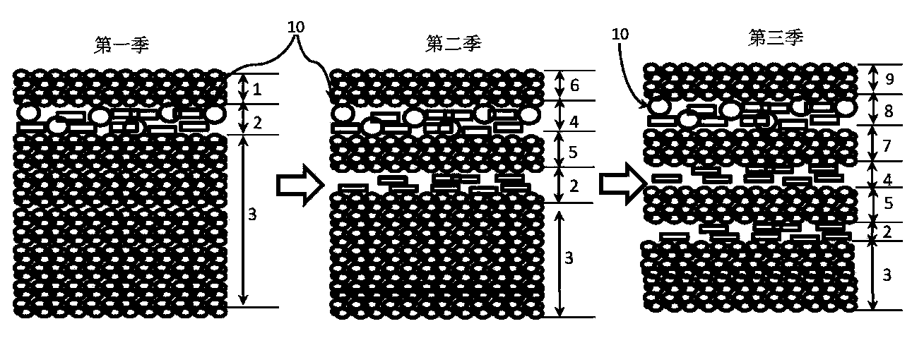 Double-cropping rice based ecological ditch direct-seeding cultivation method for triple-cropping late rice