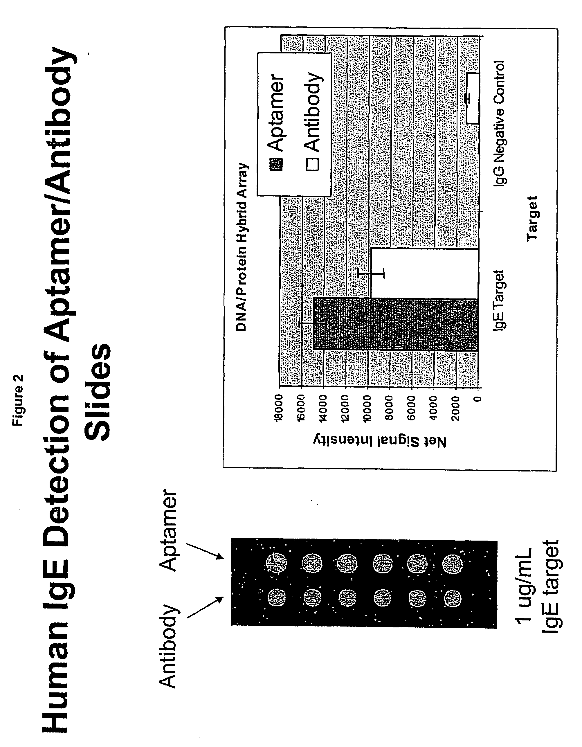 Methods for preparing hybrid substrates comprising DNA and antibodies and uses thereof