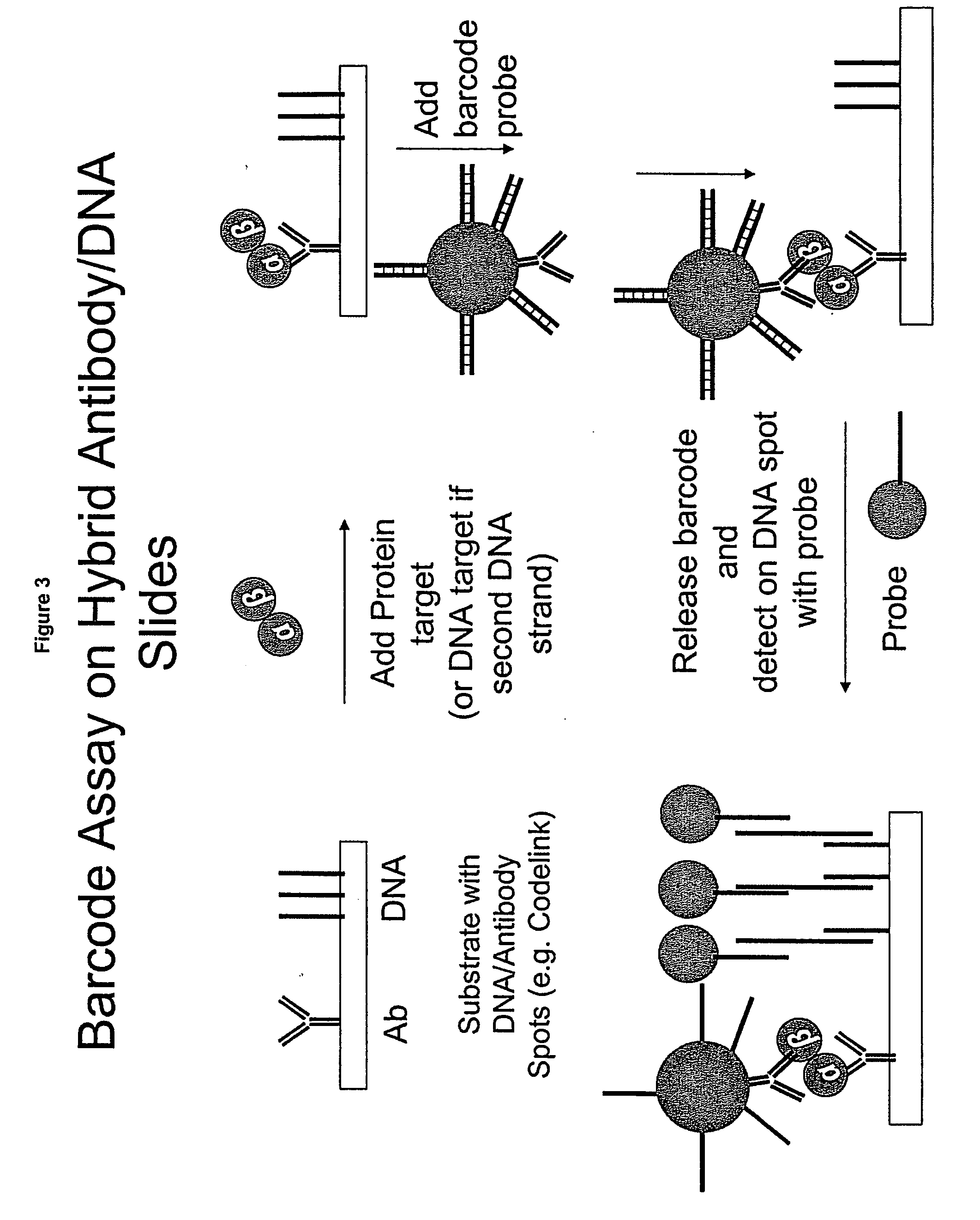 Methods for preparing hybrid substrates comprising DNA and antibodies and uses thereof