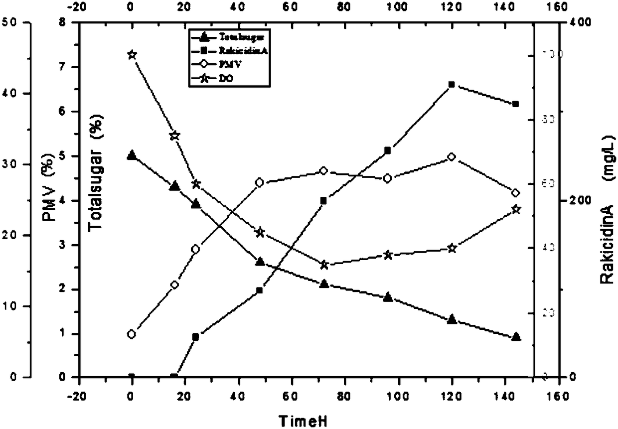 Marine micromonospora strain for fermenting to produce Rakicidin A and application thereof