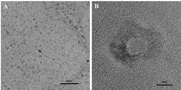 A kind of preparation method of three-dimensional nitrogen-doped graphene/coox composite material