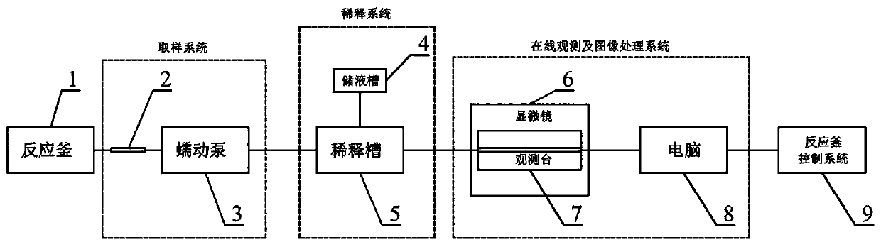 Online measuring device for size and morphology of particle