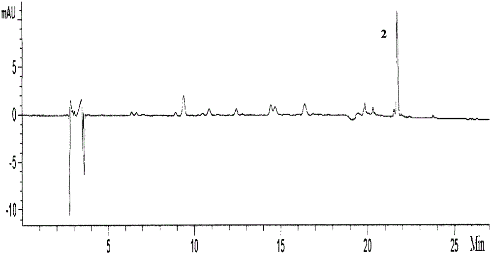 Compound Cynanchum chinense extract and preparation method thereof