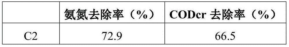 Halotolerant denitrification compound inoculant and preparation method and application thereof