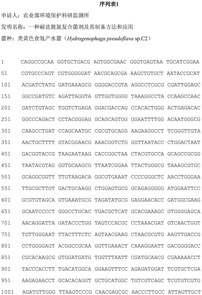 Halotolerant denitrification compound inoculant and preparation method and application thereof