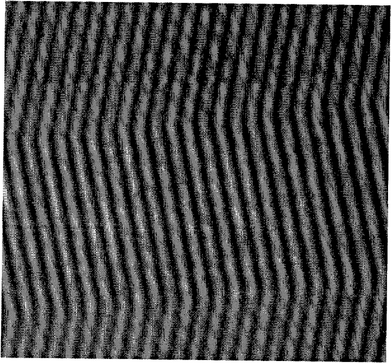 Optical three-dimensional measuring method based on phase coding technology